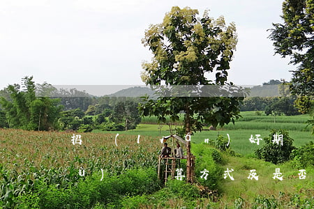 招聯(lián)好期貸提前還款手續(xù)費：計算方式及是否高昂？